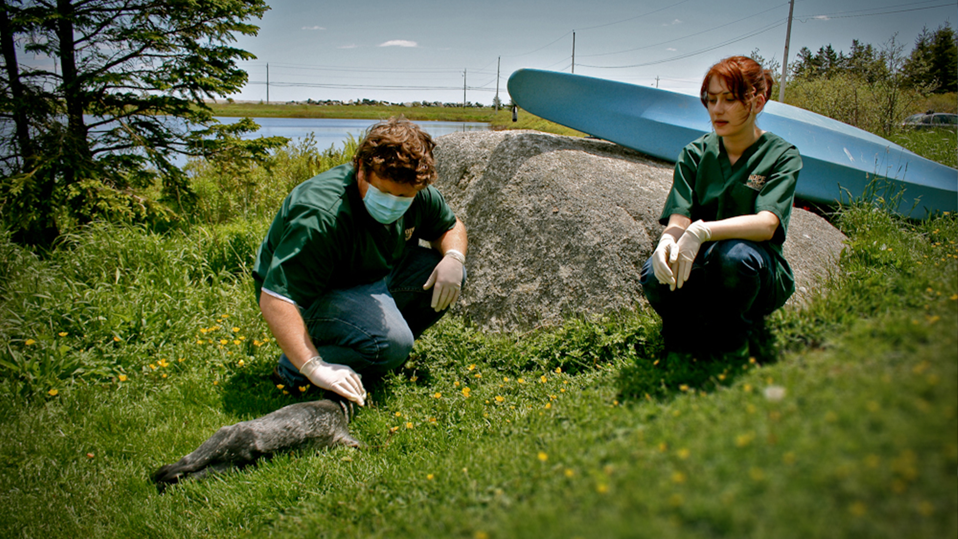 Hope for Wildlife S1E2 Gala Knowledge.ca